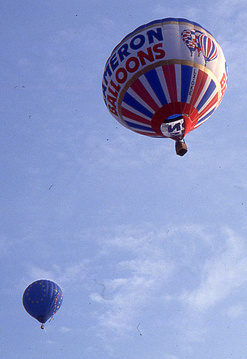 10种安乐死的好方法