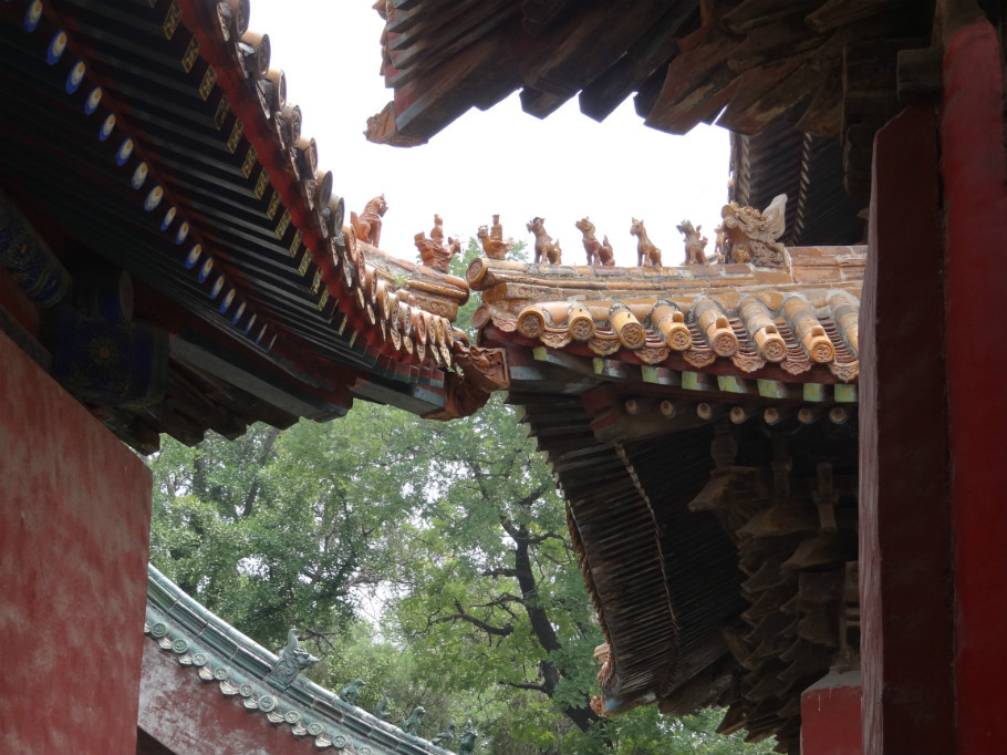 山东曲阜孔庙（照片张） - zhaoyuan0622 - 我的博客