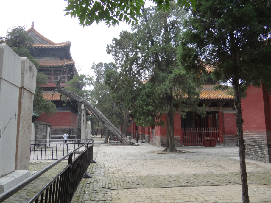 山东曲阜孔庙（上）（照片张） - zhaoyuan0622 - 我的博客