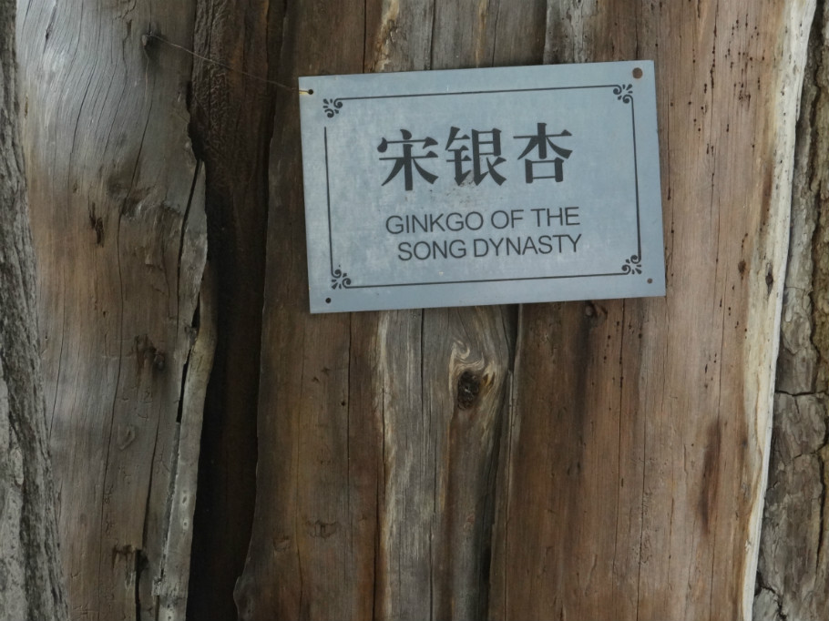 山东曲阜孔庙（下）（照片72张） - zhaoyuan0622 - 我的博客