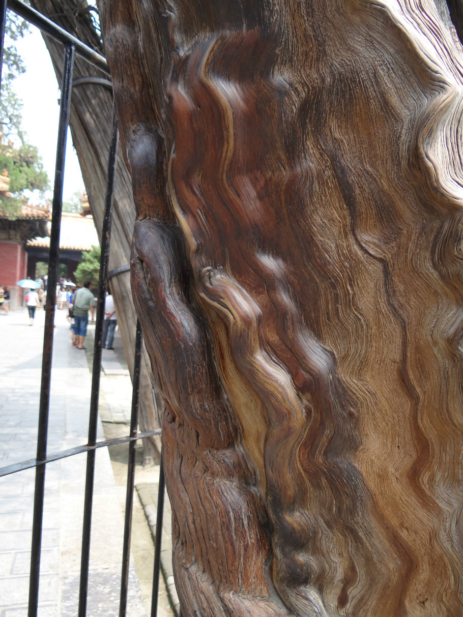 山东曲阜孔庙（照片张） - zhaoyuan0622 - 我的博客