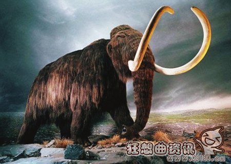 远古恐龙有可能再复活吗？远古猛犸象或可复活
