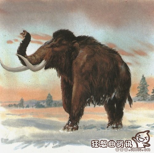 远古恐龙有可能再复活吗？远古猛犸象或可复活