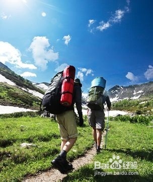 怎么辨别有毒和无毒蛇？