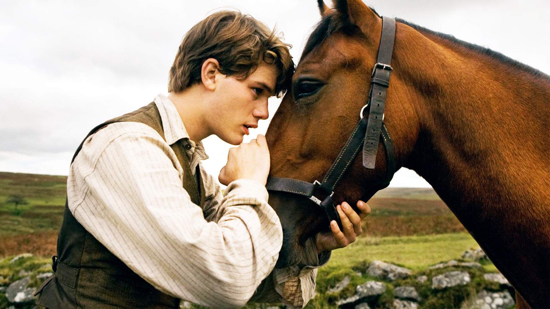 一匹马的使命：《战马》电影深度解读