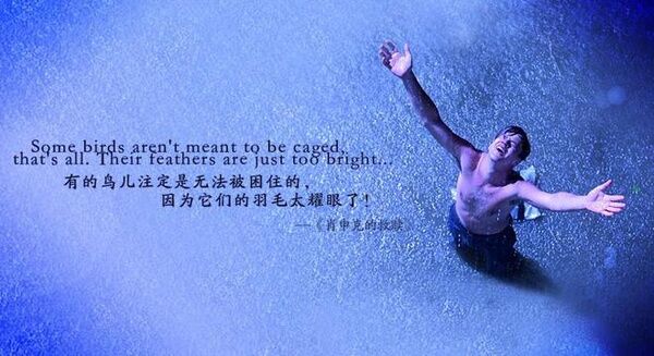 为什么《肖申克的救赎》几乎占据了所有电影排行榜榜单之首？