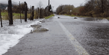 左边的，你给我站住！