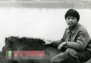 邓超孙俪身世对比 同出身离异家庭缺少关爱