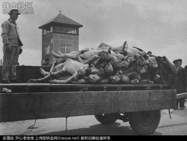 运送尸体的汽车,达豪集中营关押的囚犯大多因为营养不良而死去.