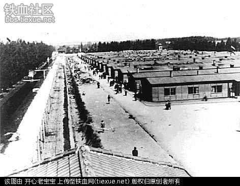 二战集中营惨烈黑镜头:纳粹血腥屠杀犹太人(组图)