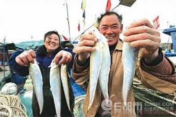 历史上重量最大的长江刀鱼，长江刀鱼为什么会如此贵？