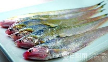 历史上重量最大的长江刀鱼，长江刀鱼为什么会如此贵？