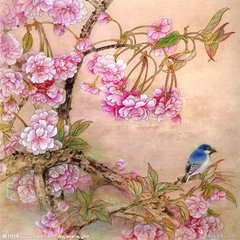 海棠花与其他花的详细区别，海棠花有什么寓意和象征