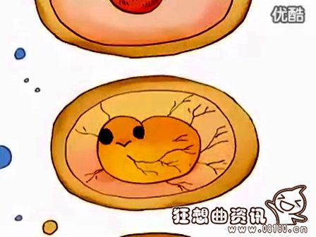 小鸡是怎样孵出来的？鸡蛋变小鸡的全过程