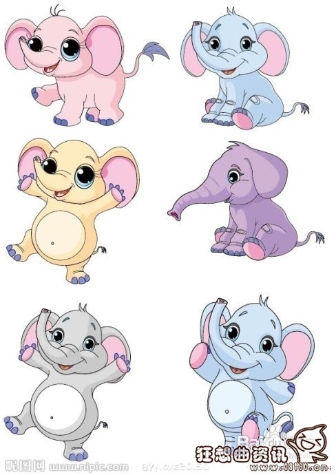 大象被困了50年后获救流泪，大象有什么寓意