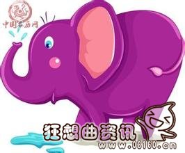 大象被困了50年后获救流泪，大象有什么寓意