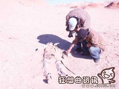 罗布泊的一些诡异事件揭秘，罗布泊这个地方在哪里