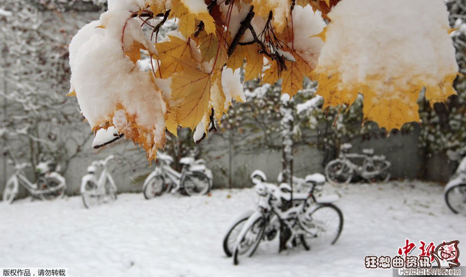 南方的冷空气都是从哪里来的，冷空气都是怎么形成的