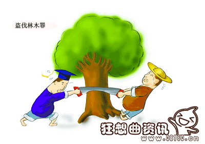 盗伐林木罪最新量刑标准，盗伐林木罪与滥伐林木罪有什么区别