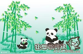 大熊猫为什么喜欢吃竹子，大熊猫一天能够吃掉多少竹子