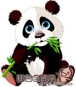 大熊猫为什么喜欢吃竹子，大熊猫一天能够吃掉多少竹子