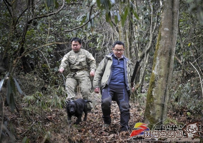 狩猎场里面可以养哪些动物，狩猎场里动物的生活纪录片