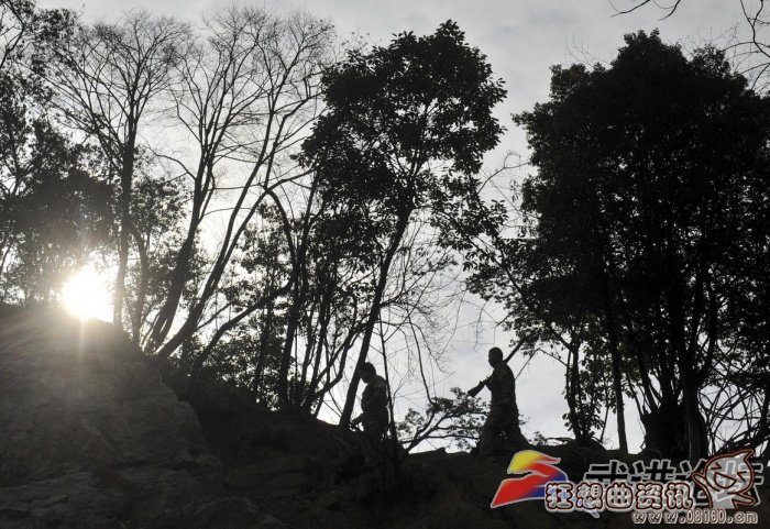 狩猎场里面可以养哪些动物，狩猎场里动物的生活纪录片