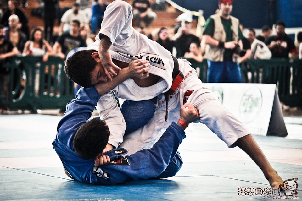 最厉害的巴西柔术大师是谁，揭秘巴西柔术的起源