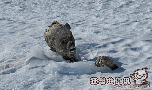 已经失踪了55年的登山者被发现，登山者登山需要带哪些装备要注意什么