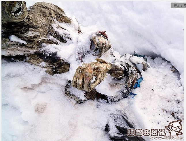 已经失踪了55年的登山者被发现，登山者登山需要带哪些装备要注意什么