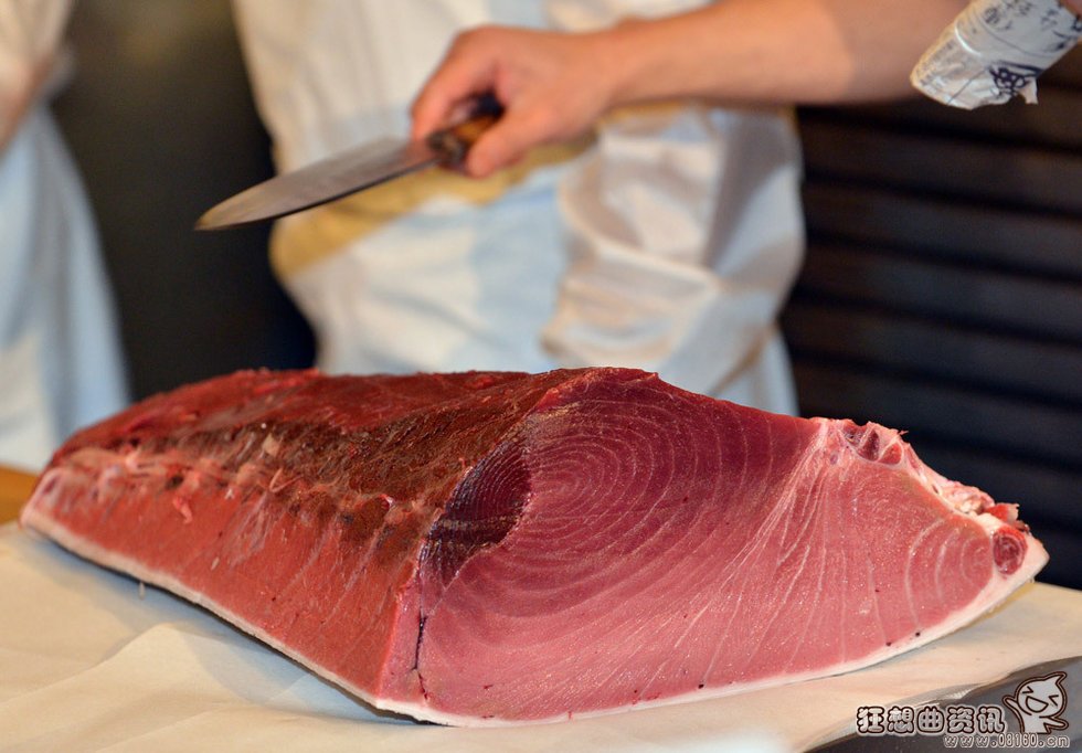 金枪鱼价格现在多少钱一斤，金枪鱼为什么会如此之贵