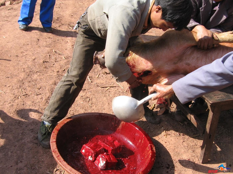 七十年代的农村生活故事【组图】 - 石庆 - 石庆的博客