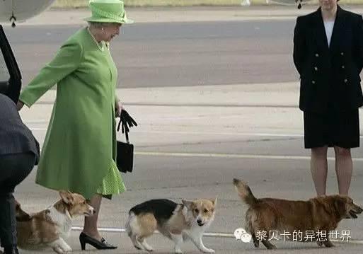 关于英女王的一切酷炫萌~她才是史上最牛It Girl！