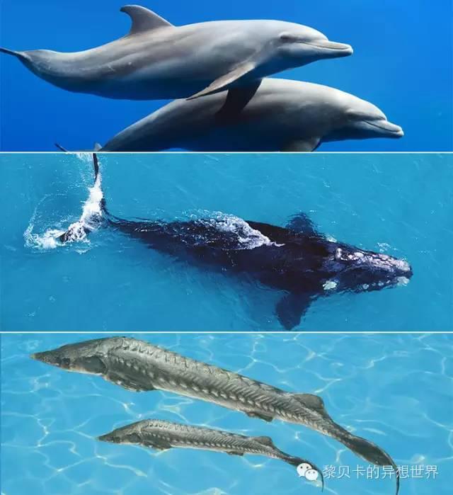 关于英女王的一切酷炫萌~她才是史上最牛It Girl！