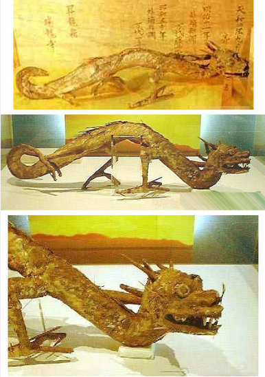 世界真的有龙这种生物吗？现实中龙真的存在吗？