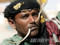 揭秘南亚神秘蛇人部落，印度蛇人部落的风俗有
