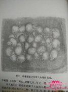 中国人在许愿池扔硬币的原因揭秘，市民许愿池