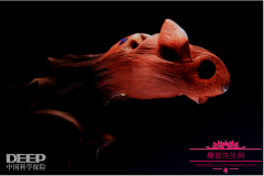 深海的最底层未知生物图片，世界上发现未知生