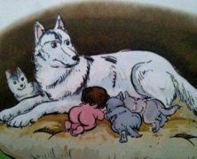 印度传教士辛格发现狼孩，狼孩事件给我们什么