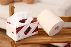 生产抽纸和卫生纸的利润如何，抽纸和卫生纸的