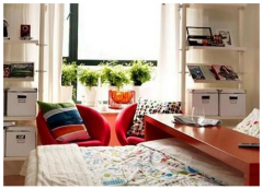 卧室植物摆放风水禁忌揭秘，风水植物怎么摆放