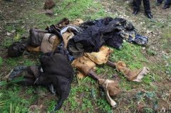 盗墓人说的大粽子真的存在吗？为什么不能看女