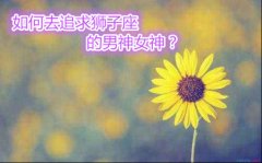 如何去追求狮子座的男神女神？要甘愿卑微到尘埃