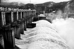 实拍国外大坝开闸泄洪，水库泄洪冲出神秘大鱼