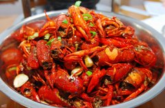 渔民捕到神秘龙虾放生，龙虾长生不老不会自然