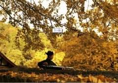 八字极旺怎么选喜用神？解析喜用神在生辰八字中是如何取名字的