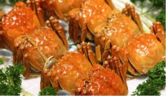 大闸蟹为什么吐泡泡？德国大闸蟹泛滥成灾的原