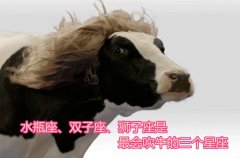 水瓶座、双子座、狮子座是最会吹牛的三个星座