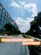 带着处女座去旅行让你爽到爆，当甩手掌柜就好