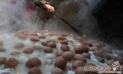 童子尿煮鸡蛋的功效，揭秘童子尿煮蛋真是一剂